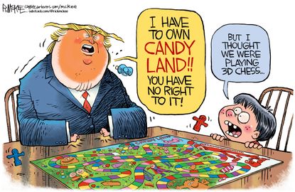 Political Cartoon