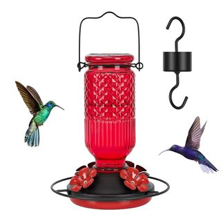 red hummingbird feeder with moat