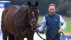Blenheim Horse Trials final trot-up