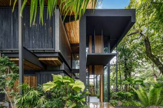 house on stilts in costa rica