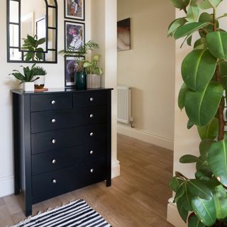 hallway contains tropical style houseplants combined with dark wooden furniture