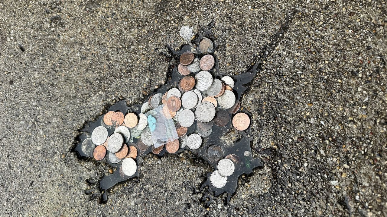 The viral 'Chicago Rat Hole' wasn't actually made by a rat, scientists claim
