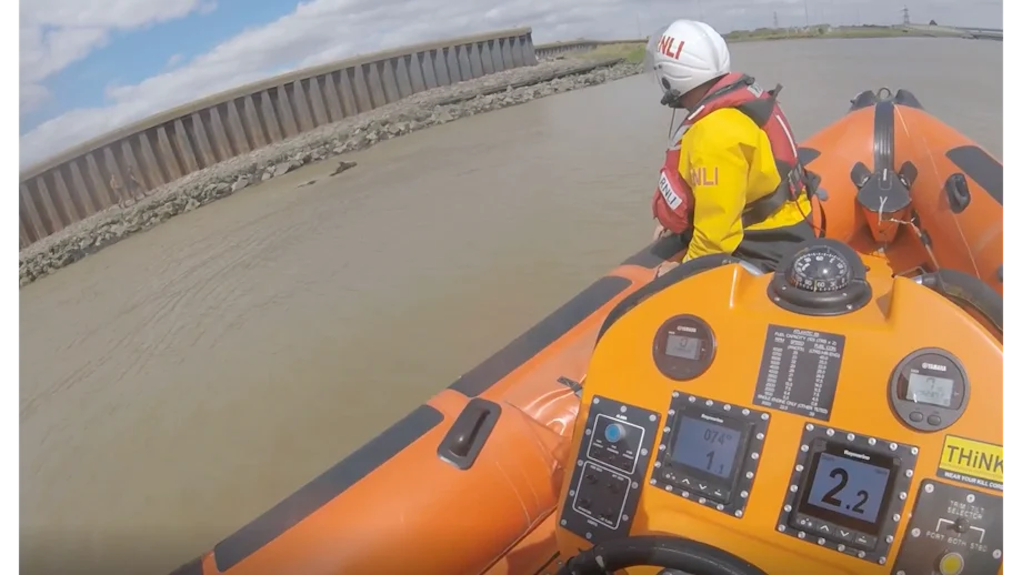 A dark bay horse swimming in a river, taken from a lifeboat