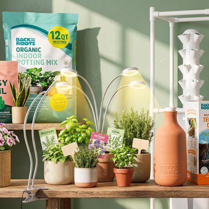 AI generated scene showing Amazon Prime Day deals for indoor gardening