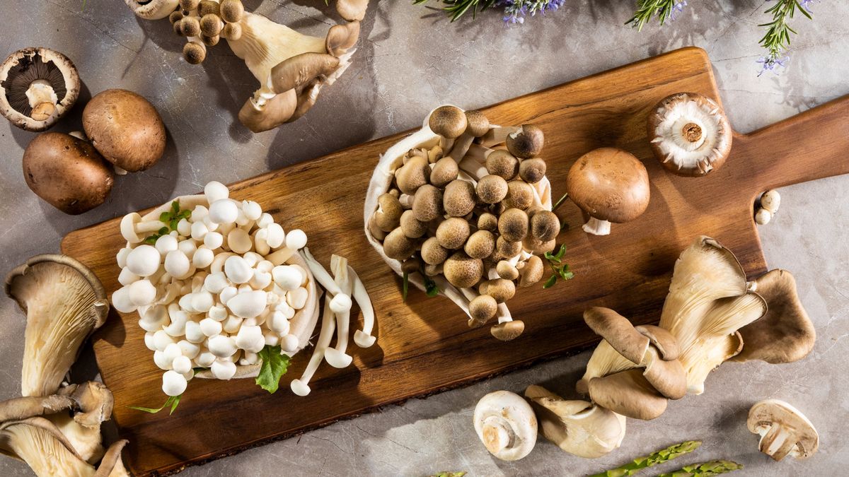 Variety of mushrooms