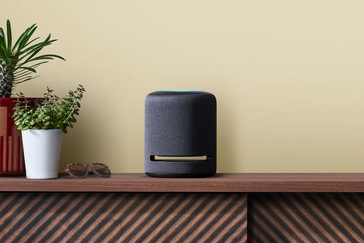 Voici toutes les façons dont votre appareil Alexa peut vous aider à prendre soin de vos plantes d'intérieur