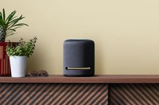A black Amazon echo on a sideboard next to potted houseplants