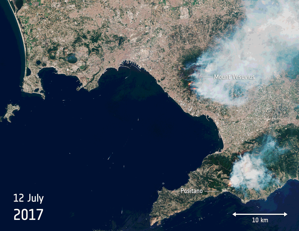Much of the woodlands in Vesuvia National Park, which contains the Mount Vesuvius volcano, have been destroyed by wildfires, shown here in this satellite image on July 12, 2017.