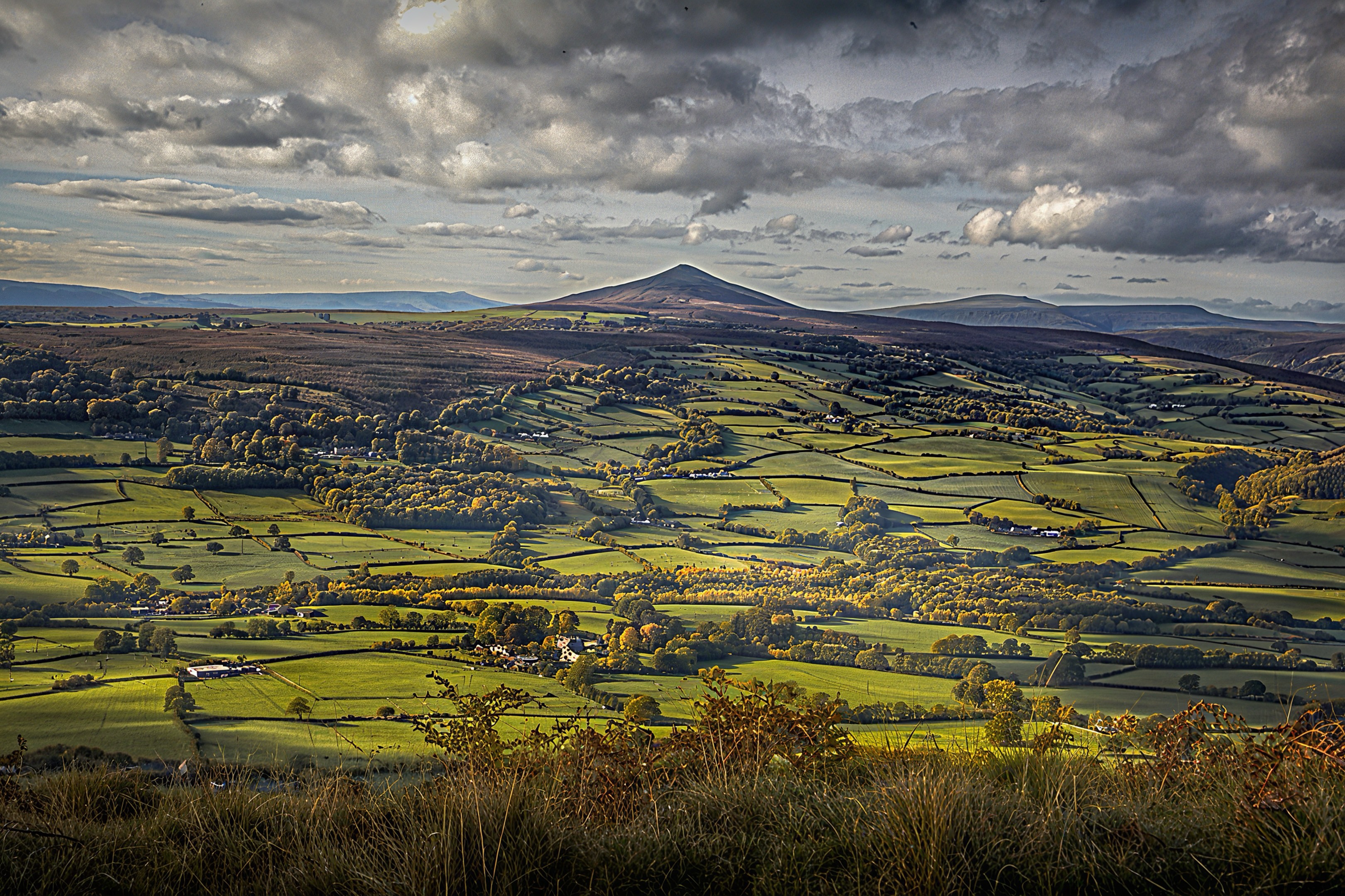 GuruShots - March 2026