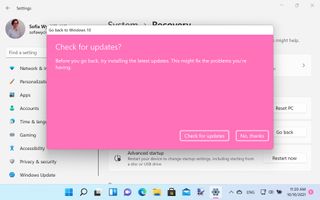 A window asking if you want to check for updates