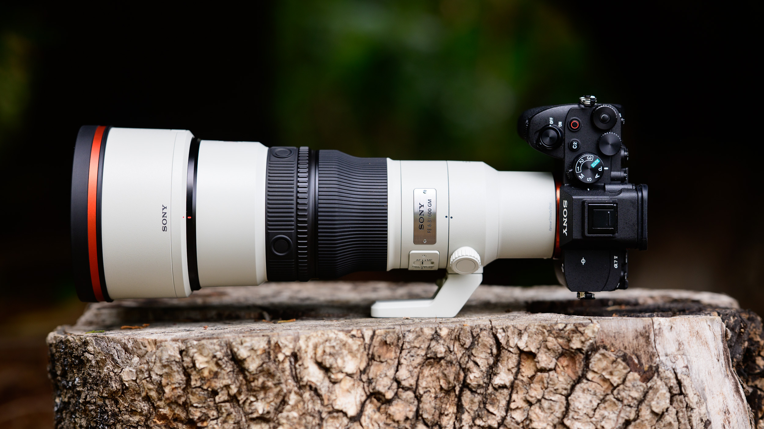 Sony FE 600mm F6.3 GM OSS super-telephoto lenses on a tree stump, attached to a Sony A7R V camera