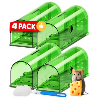 Green humane mouse trap