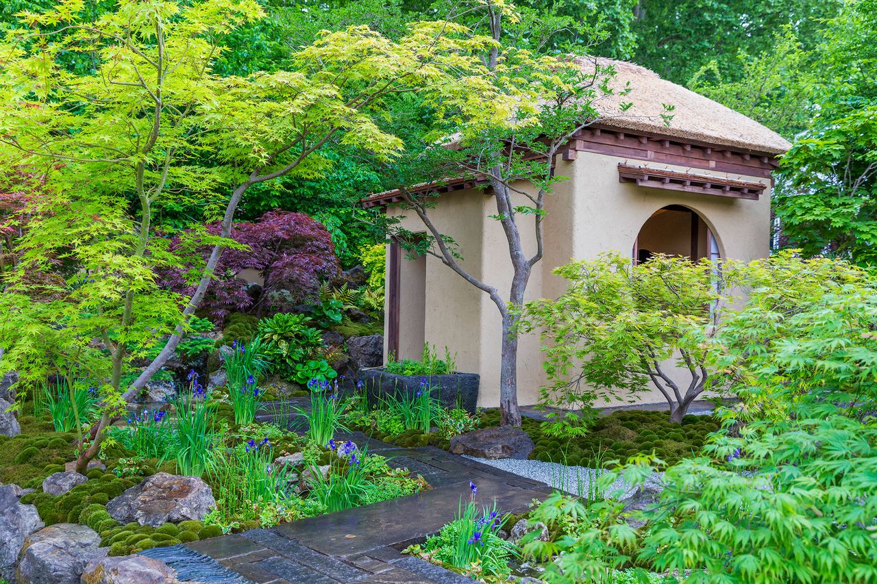 Cha no Niwa - the Japanese Tea Garden at the 2025 Chelsea Flower Show