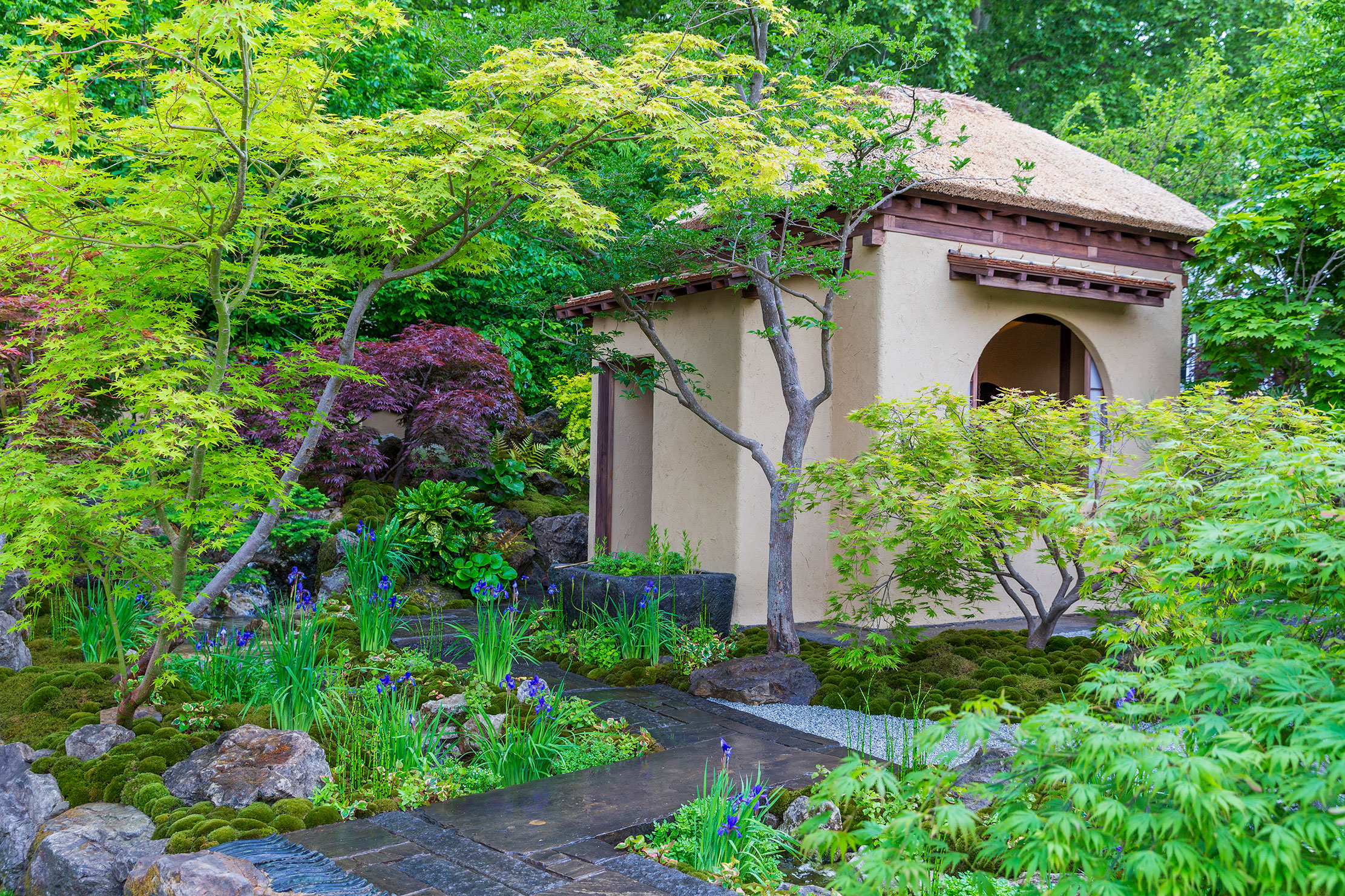Cha no Niwa - the Japanese Tea Garden at the 2025 Chelsea Flower Show