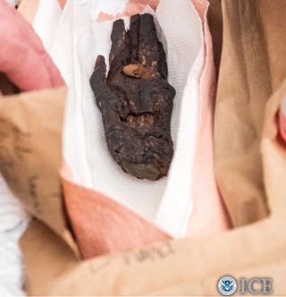 This cloth-wrapped mummy's hand was one of the more unusual objects to be returned to Egypt as part of Operation Mummy's Curse.
