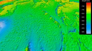 A multicolor seafloor map showing lots of small coral mounds stretched across the seafloor