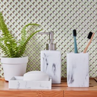 bathroom with potted plant soap dispenser and toothbrush holder