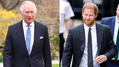 King Charles could give Prince Harry valuable ‘opportunity’. Seen here side-by-side at different occasions