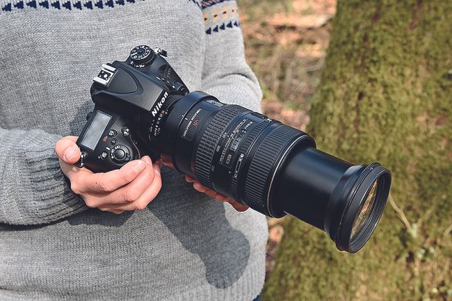 Tips for shooting backyard birds | Digital Camera World