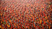 Bagurumba dancers in traditional attire Full dress rehearse at Sarusajai Stadium for a Guinness World Record attempt for the largest-ever performance of the Bodo community's 'Butterfly Dance'