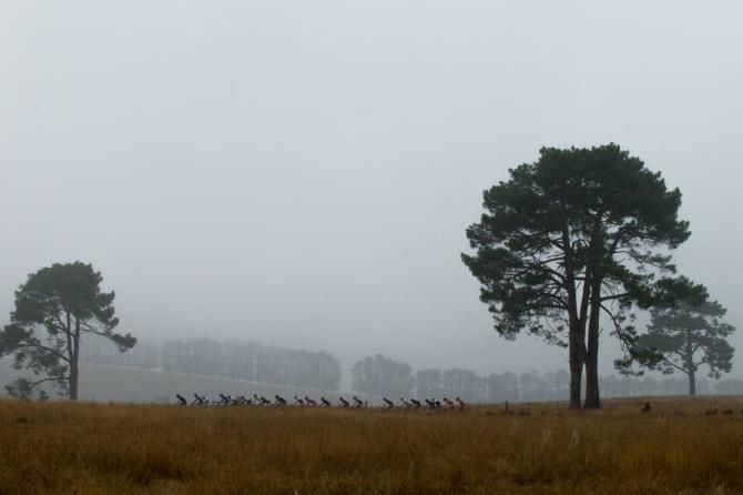 The peloton at the Cape Epic