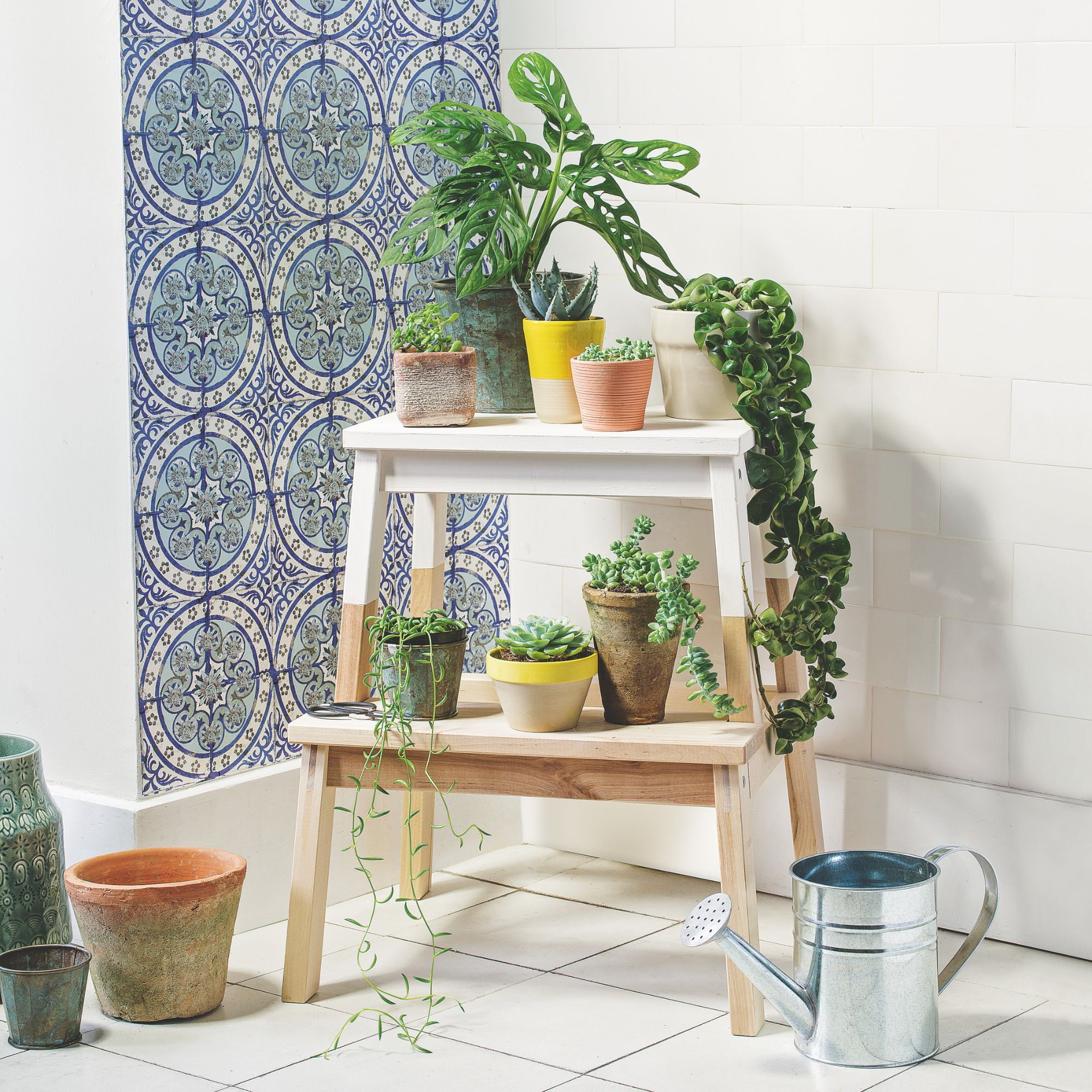 houseplants on plant stand