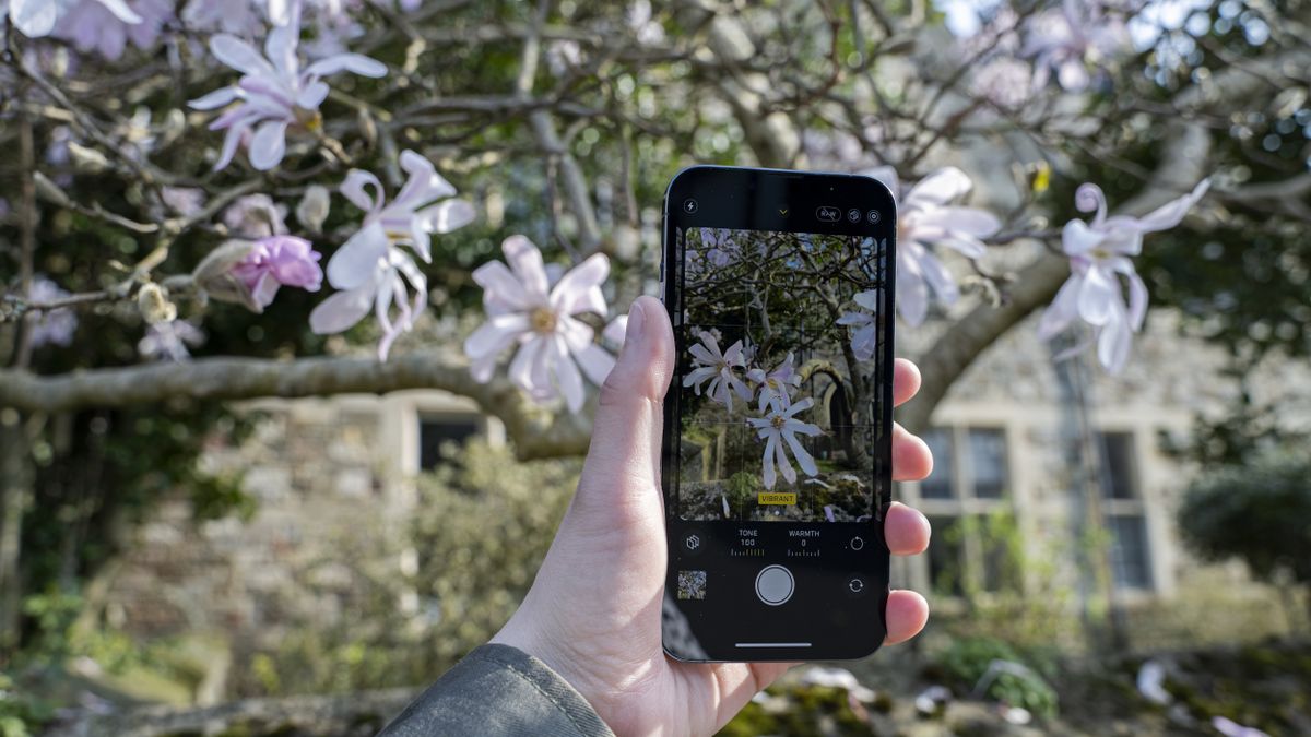 How to master Photographic Styles on your iPhone camera TechRadar