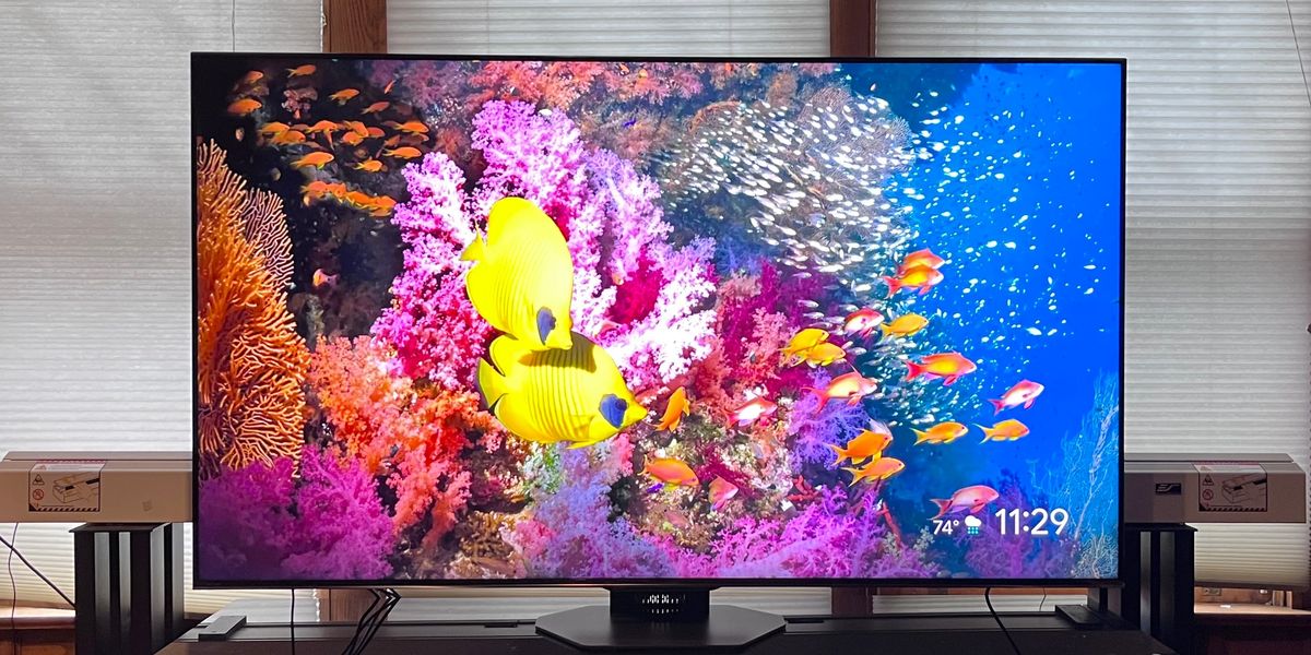 Hisense U8N showing image of aquarium fish