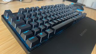 Close up on SteelSeries Apex Pro TKL keycaps with wrist rest