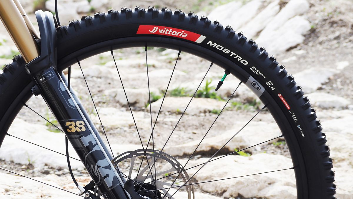 The Vittoria Mostro tire