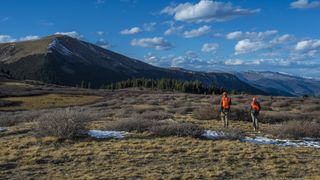 Hunters hiking on sunny day, Colorado