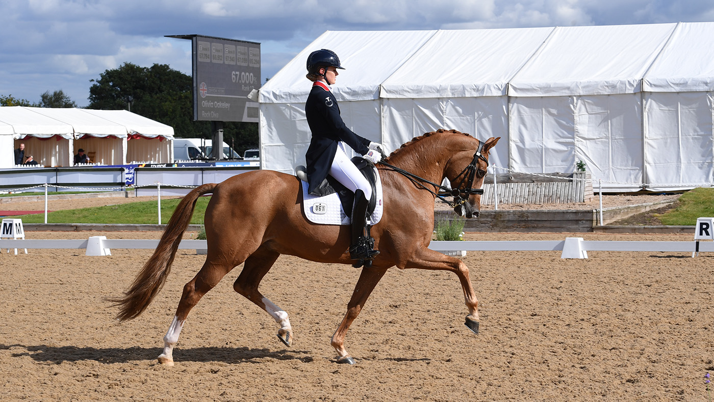 national dressage championships