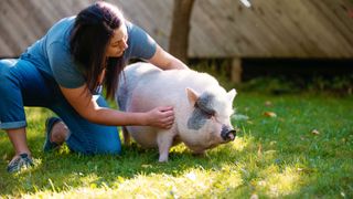 Most unusual pets - lady stroking Dwarf Pig