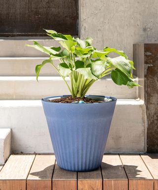 Fold Indoor​/​Outdoor Contemporary Round Planter