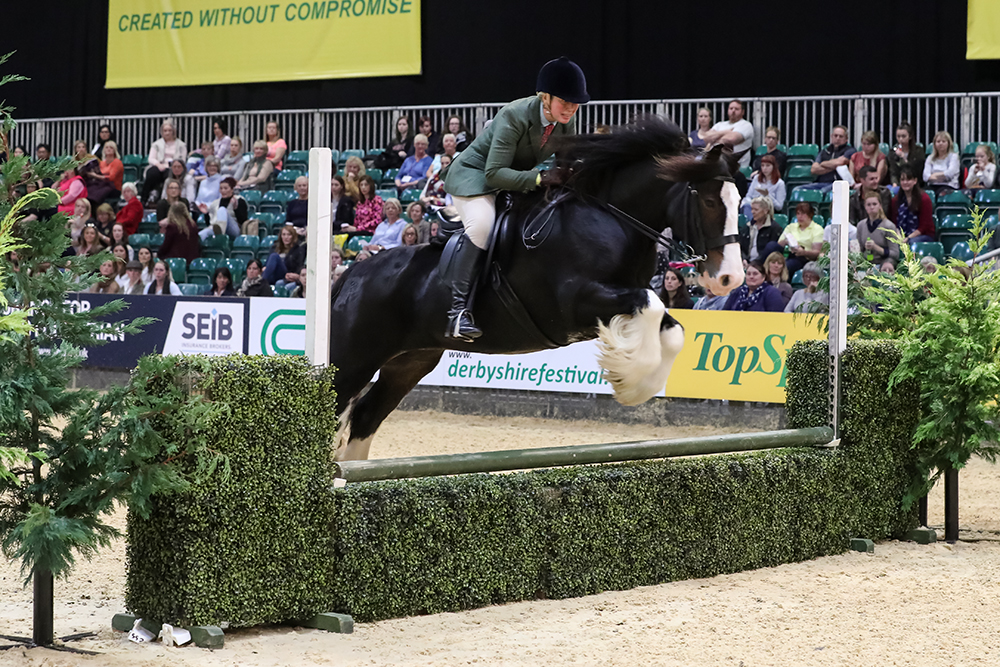 840 Ebony And Lace r Karen Oliver working show pony