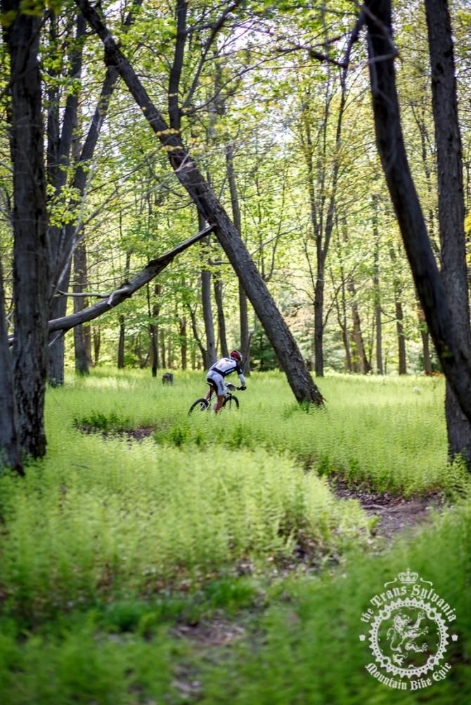 Peter Glassford (Trek &ndash; Canada) blazes through the Pennsylvania ferns