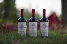 Three wine bottles in a vineyard