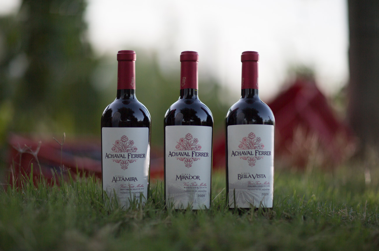 Three wine bottles in a vineyard