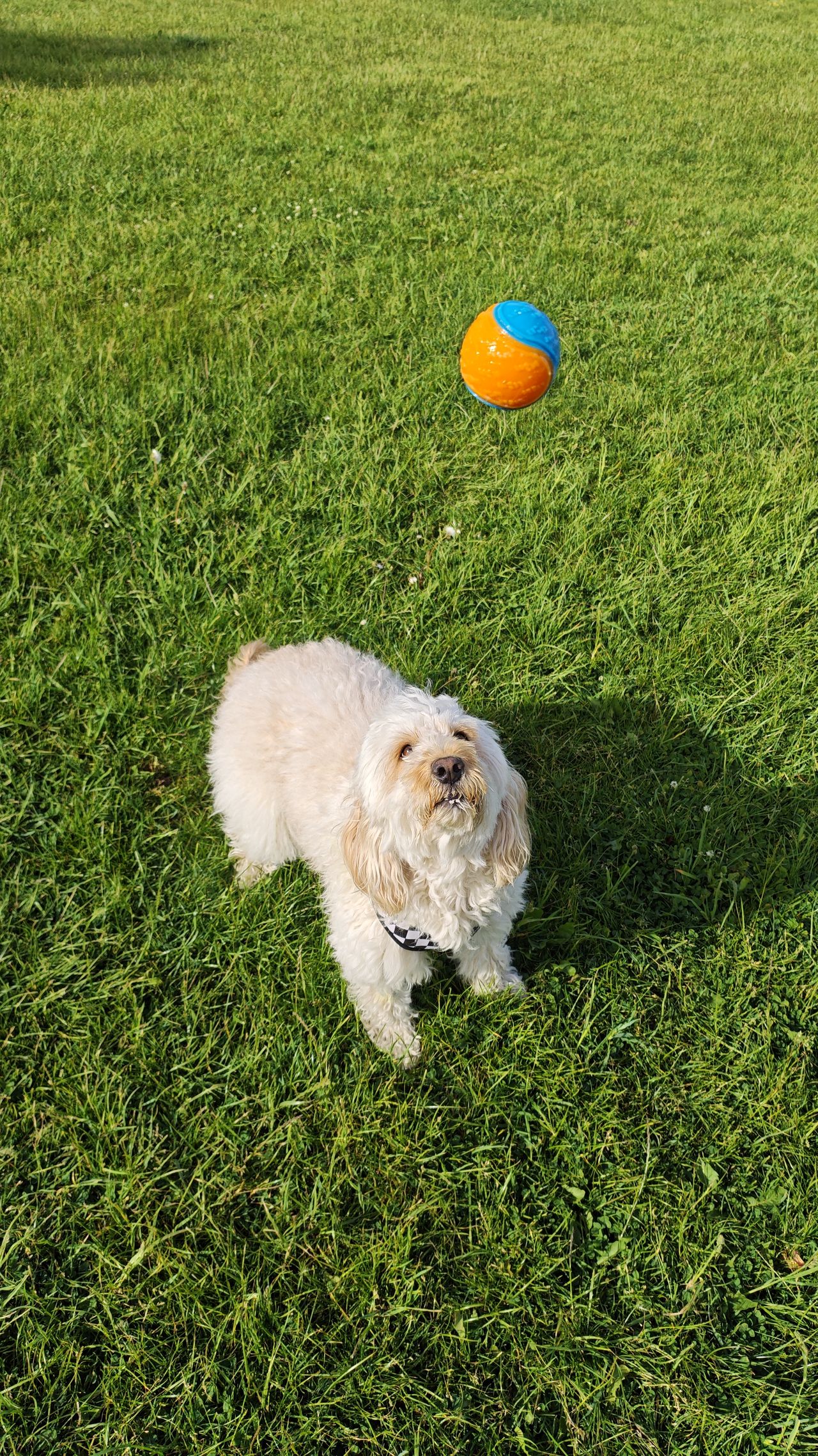 Poco F7 Ultra review sample images