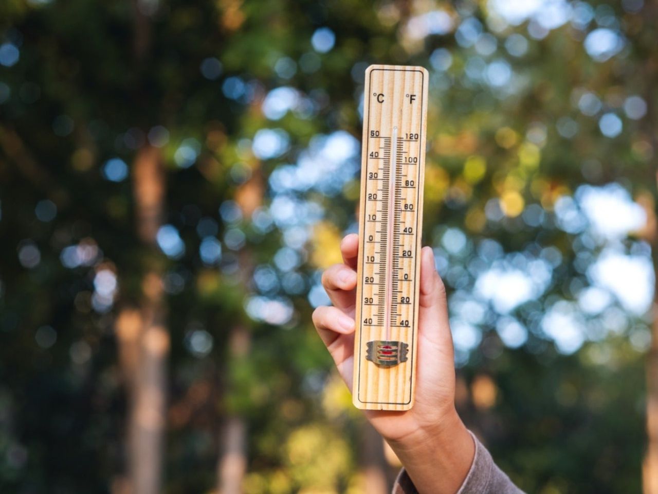 A hand holds a mercury thermometer that reads around 84 Fahrenheit