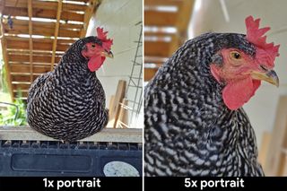 Comparing portrait shots from a 1x lens and a 5x lens
