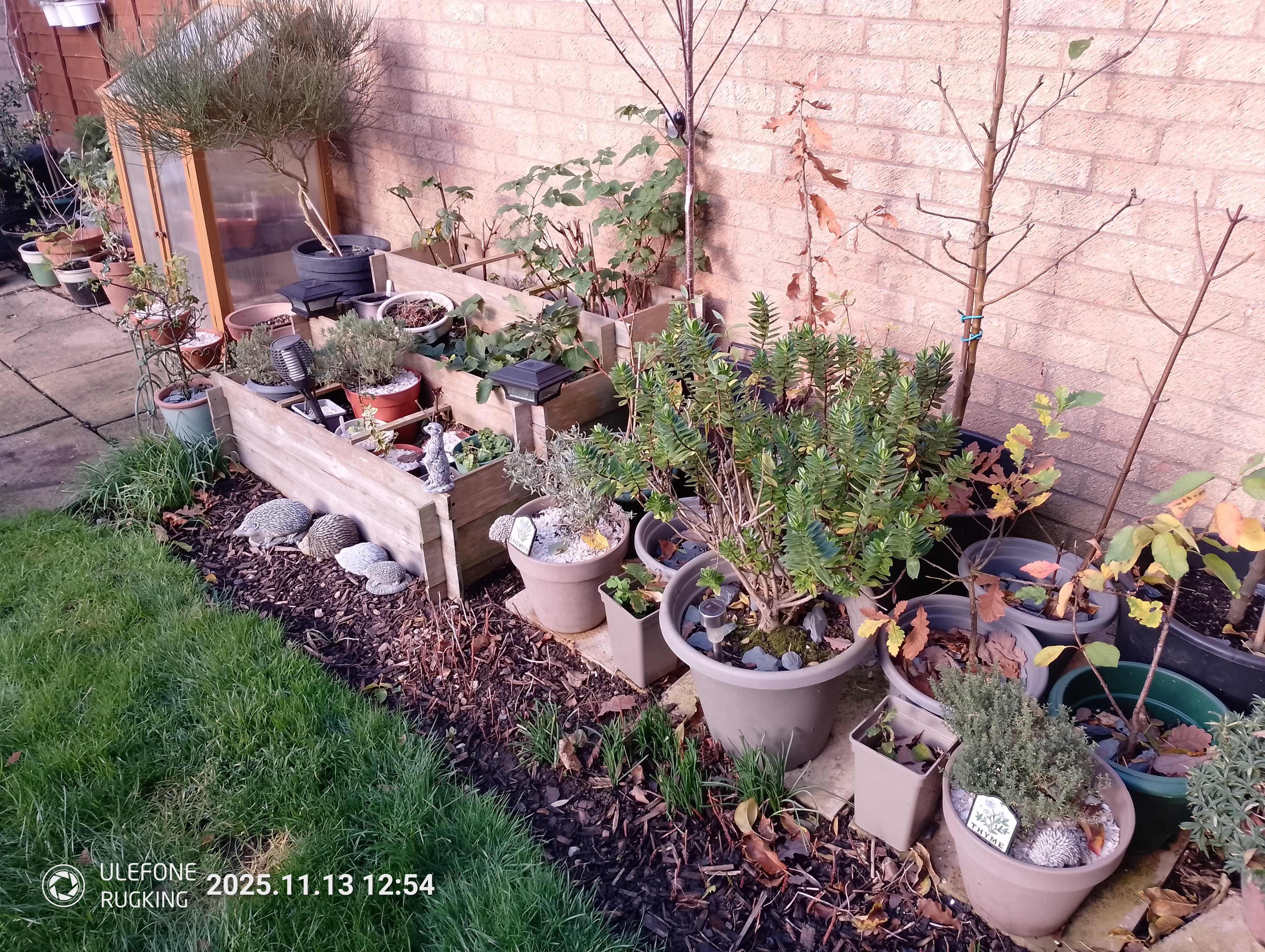 Ulefone Rugking camera examples