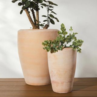 Pair of terracotta planters