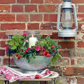 strawberry plant with candle and lantern