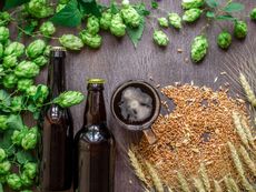 Glass Beer Bottles And Brewing Ingredients