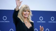 Goldie Hawn has shared the most unbelievable story