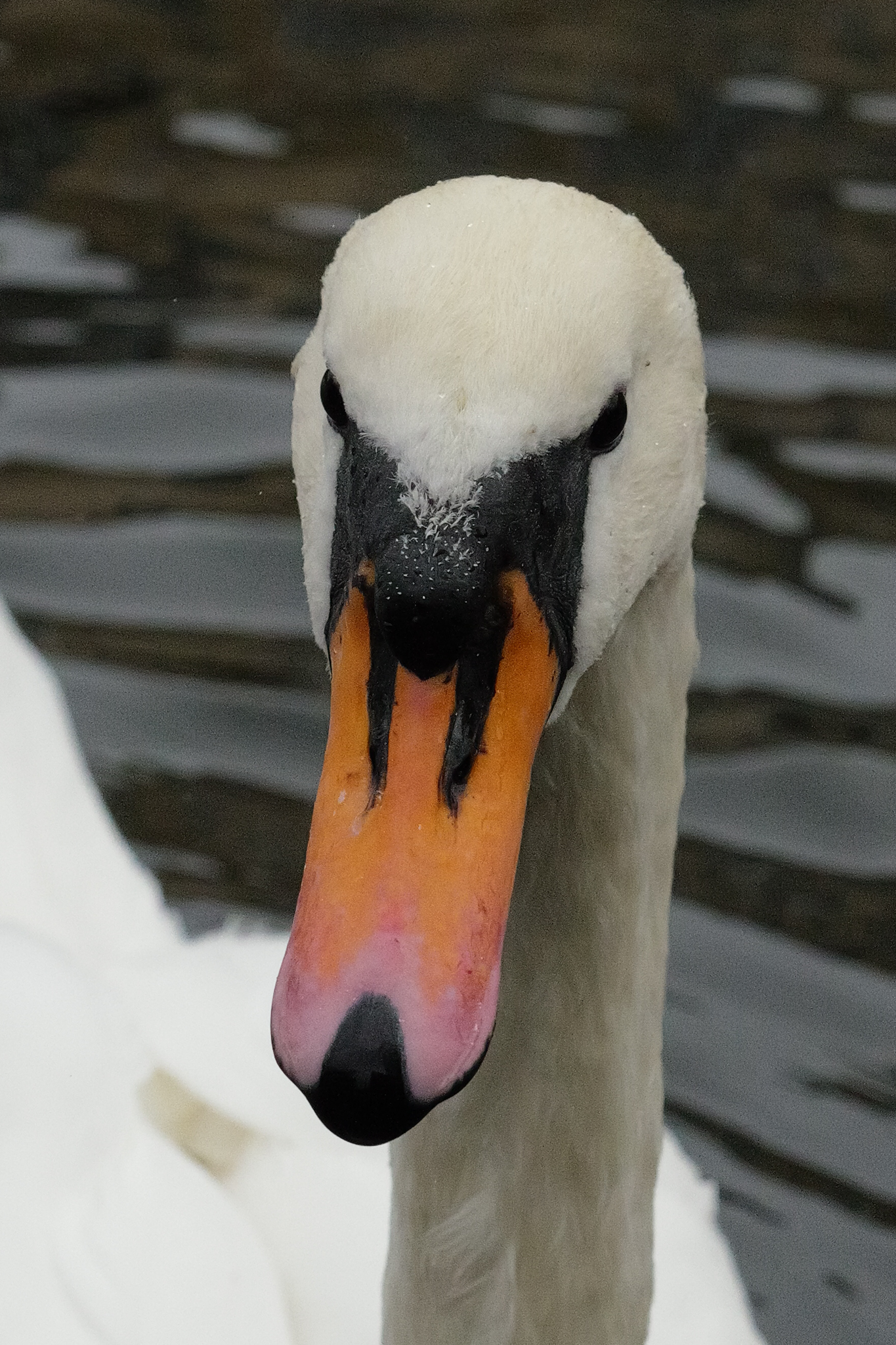 A photo taken on a Leica SL3 full frame mirrorless camera