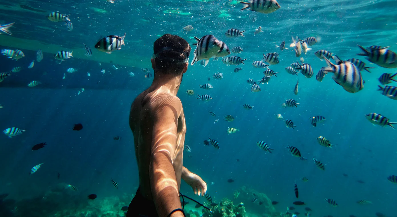 GoPro