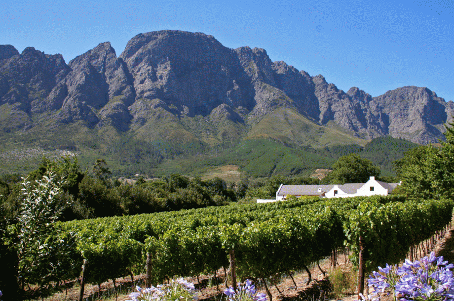 Boekenhoutskloof Winery