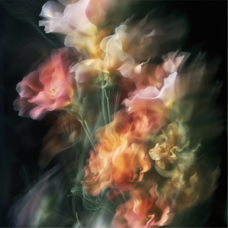 Pinks and oranges emulate a bouquet of blurred flowers